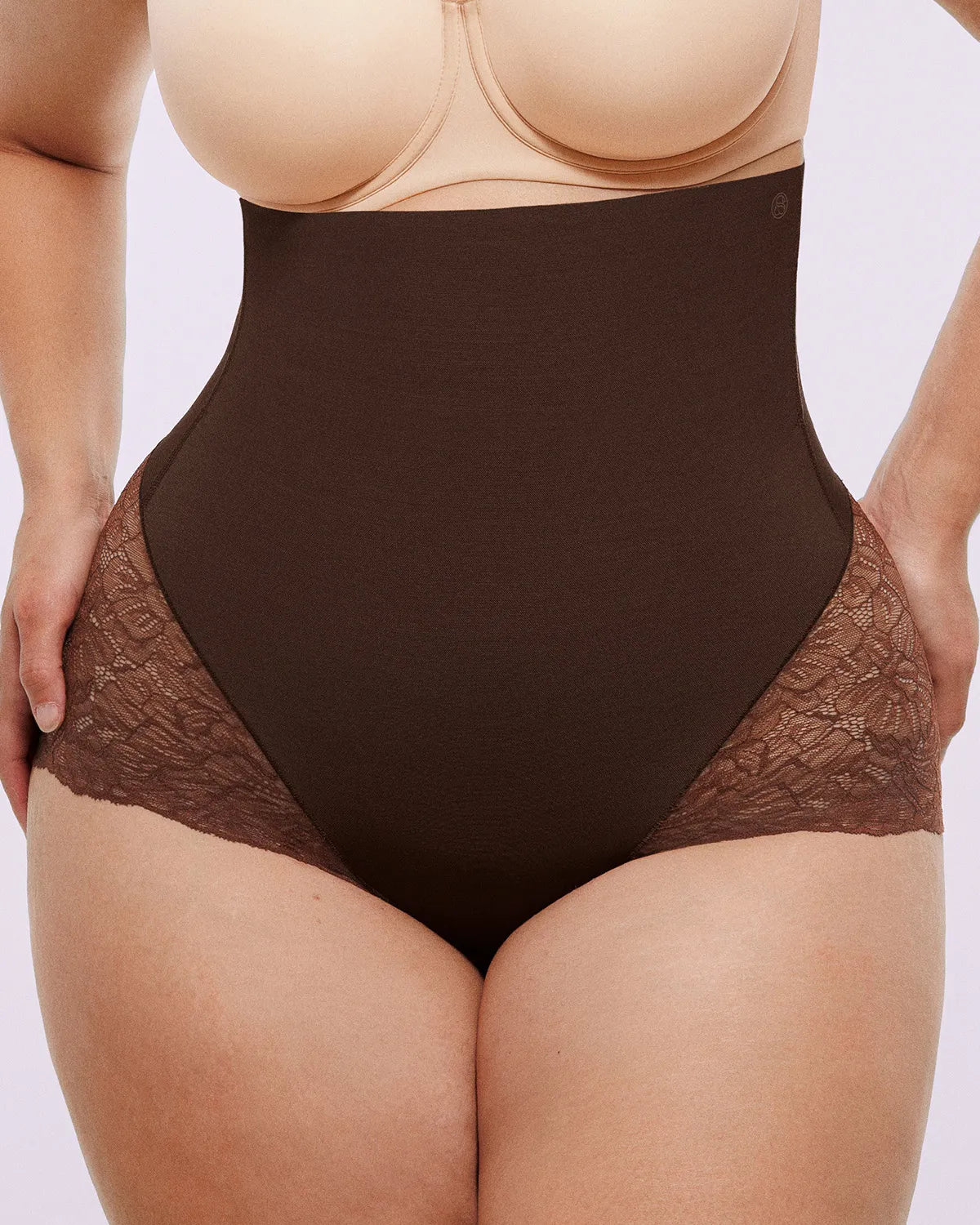Sheer Lace High-Waisted Smoothing Brief