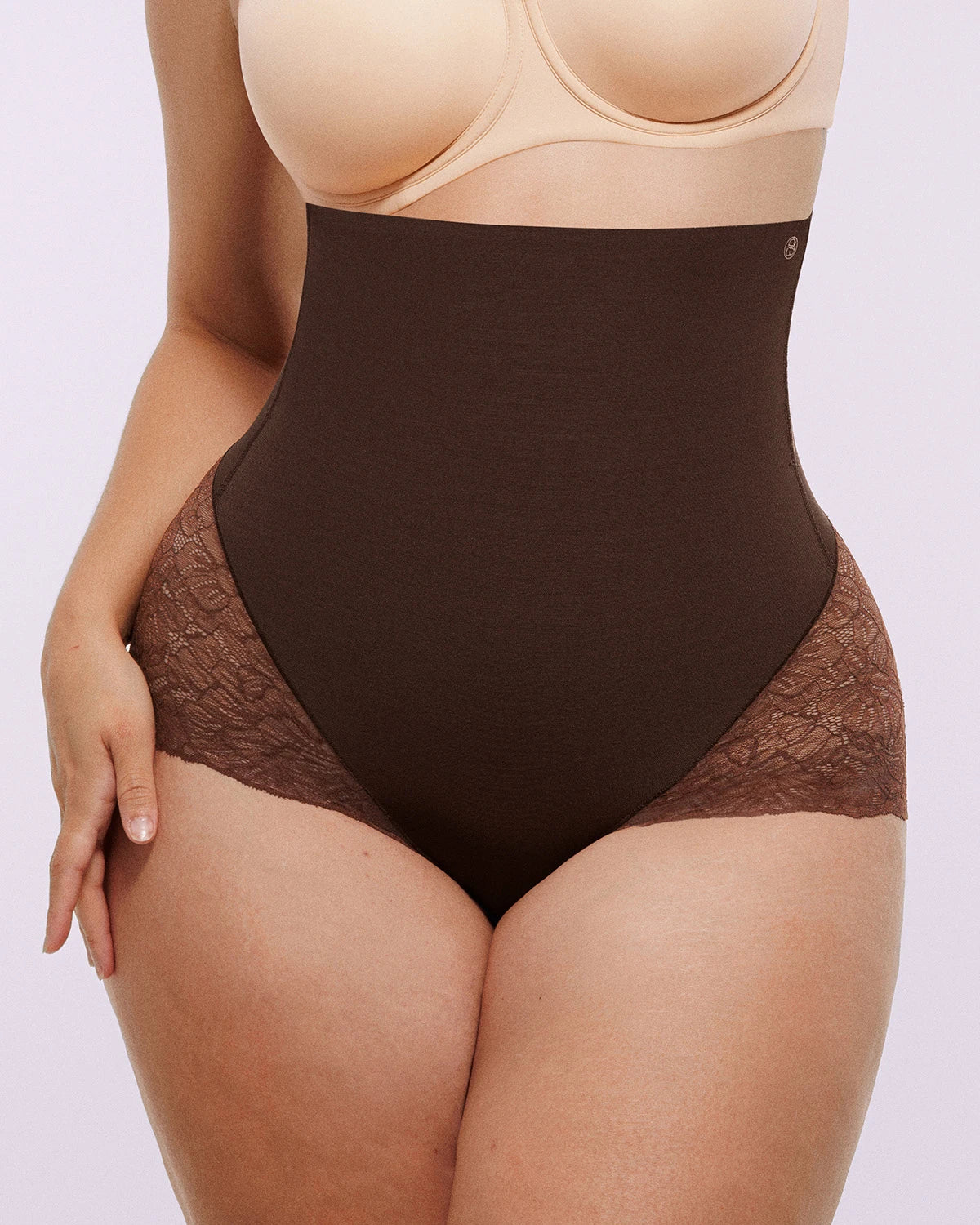 Sheer Lace High-Waisted Smoothing Brief