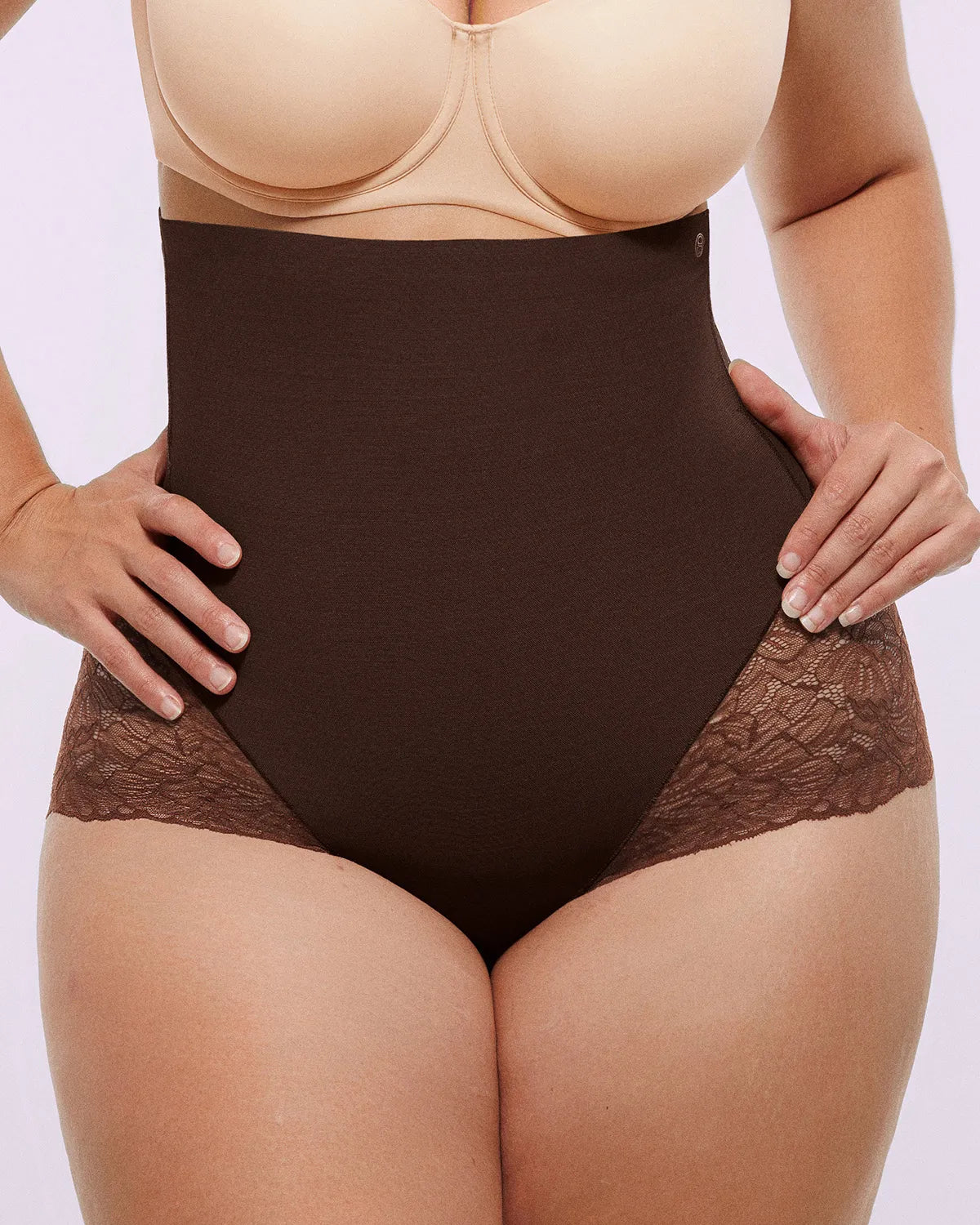 Sheer Lace High-Waisted Smoothing Brief